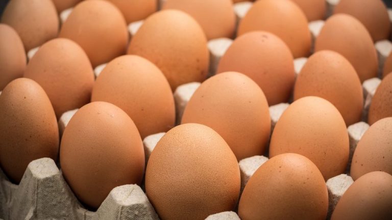 अण्डाको मूल्य क्रेटमा १५ रुपैयाँले बढ्यो
