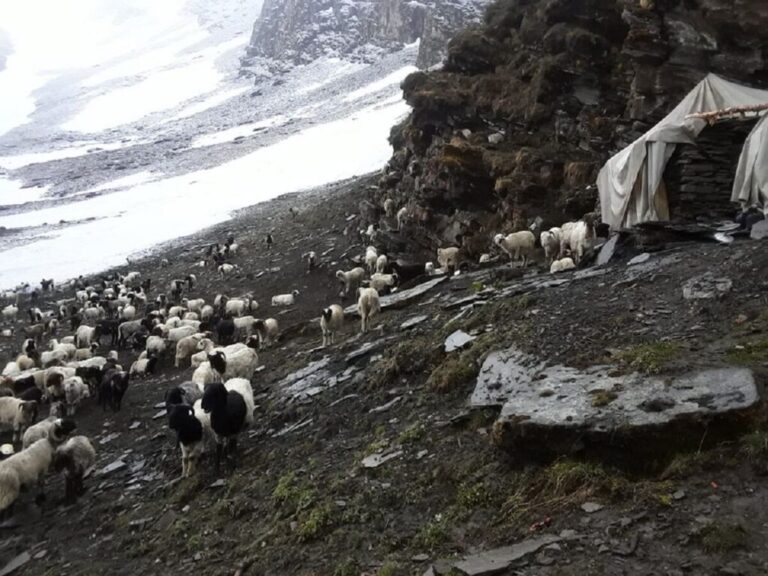 पाटनमा हराएका सात जनाको सकुशल उद्धार