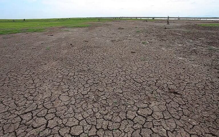 विश्वका साढे चार करोड मानिस खडेरीको जोखिममा रहेका छन्ः राष्ट्रसंघ