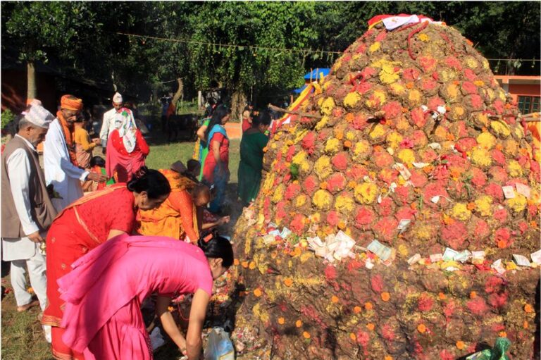 गोवर्द्धन पूजा आज, नेपाल संवत ११४३ पनि प्रारम्भ