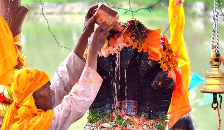 श्रद्धा र विश्वासको प्रतीक नागपञ्चमी: घरघरमा नागको पूजा गरी मनाइँदै
