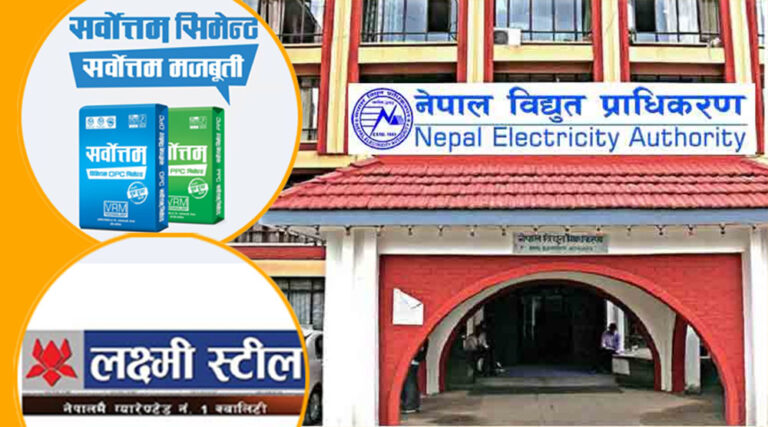 महसुल उठाउन प्राधिकरण आक्रामक, थप २ ठूला उद्योगको काटियो लाईन