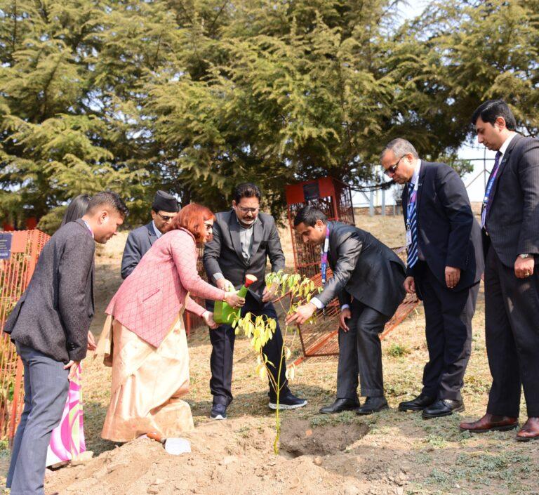 नेपाल एसबिआई बैंक लिमिटेडद्वारा पशुपतिको कैलाश डाँडामा वृक्षारोपण