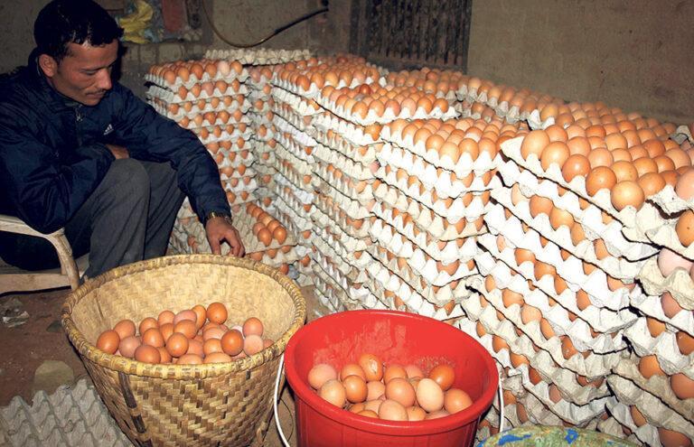 अण्डाको मूल्यमा लगातार वृद्धि, एउटाकै २५ रुपैयाँ !