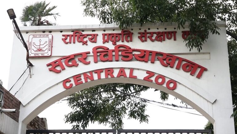 जावलाखेल चिडियाखानाबाट चोरी प्रयास भएको रेडपाण्डाको मृत्यु