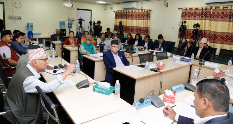 नागरिकता विधेयक संसदीय समितिमा : आमाको नामबाट मात्रै पनि नागरिकता पाइने