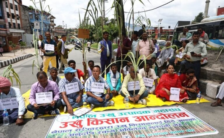 अनुदान माग्दै उखु किसानले फेरि काठमाडौंमा थाले धर्ना