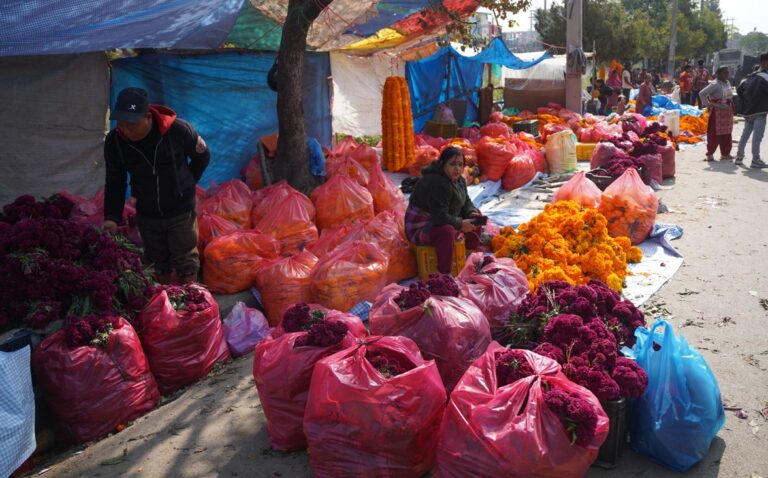 काठमाडौंमा तिहारका लागि ३२ स्थानमा फूलमाला बजार, स्वदेशी उत्पादनलाई प्राथमिकता