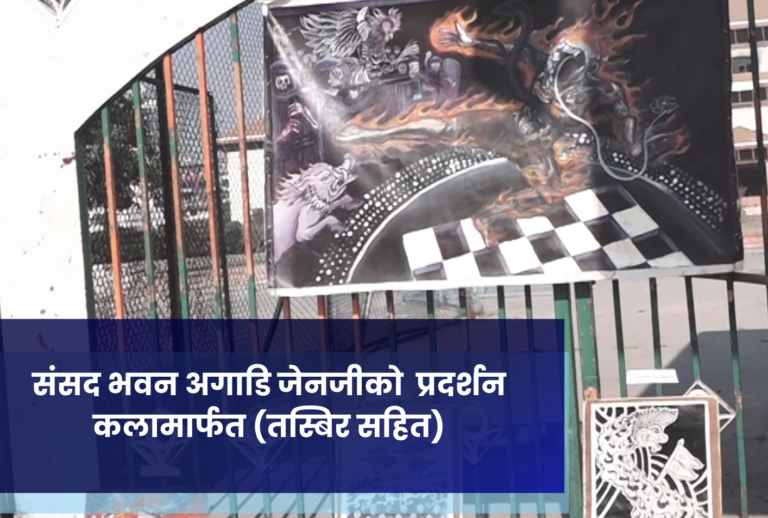 संसद भवन अगाडि जेनजीको  प्रदर्शन कलामार्फत (तस्बिर सहित)