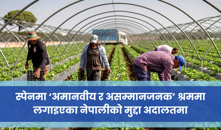 स्पेनमा ‘अमानवीय र असम्मानजनक’ श्रममा लगाइएका नेपालीको मुद्दा अदालतमा