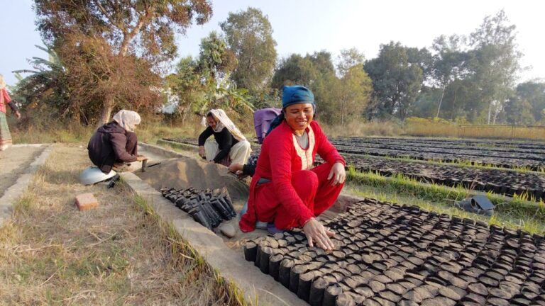 महिला कामदार विरुवा उत्पादन गर्दै