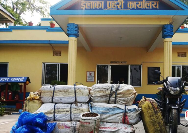 सुनसरीमा २ सय २५ केजी गाँजासहित २ जना पक्राउ परे