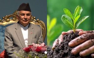 वृक्षारोपण र प्राकृतिक सम्पदाको संरक्षणमार्फत भावी पुस्ताका लागि सुरक्षित भविष्य निर्माण गर्नु पर्ने: राष्ट्रपति पौडेल