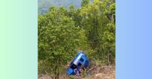 वन कार्यालयका कर्मचारीले रोकिएको टेम्पो भीरमा लडाईदिए