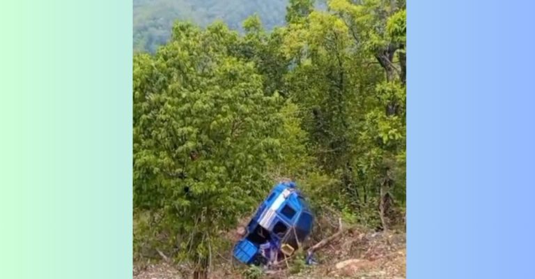 वन कार्यालयका कर्मचारीले रोकिएको टेम्पो भीरमा लडाईदिए