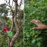 इटालीमा नेपाली फोटो प्रदर्शनी