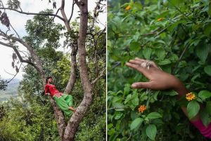 इटालीमा नेपाली फोटो प्रदर्शनी