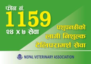 बर्ड फ्लु लक्षित २४ सै घण्टा हटलाइन तथा टेलिपरामर्श सेवा पुनः सञ्चालन