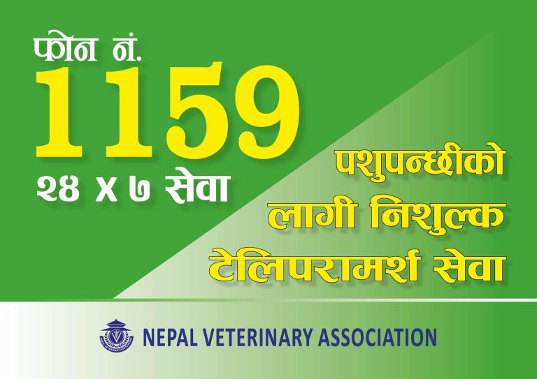 बर्ड फ्लु लक्षित २४ सै घण्टा हटलाइन तथा टेलिपरामर्श सेवा पुनः सञ्चालन