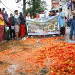 सडकमा गोलभेँडा फालेर  किसानहरू उत्रिए विरोधमा (तस्बिरमा)