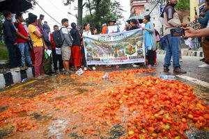 सडकमा गोलभेँडा फालेर  किसानहरू उत्रिए विरोधमा (तस्बिरमा)
