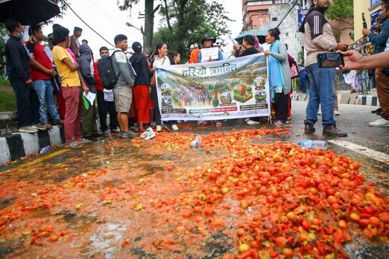 सडकमा गोलभेँडा फालेर  किसानहरू उत्रिए विरोधमा (तस्बिरमा)