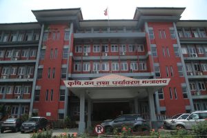 २ लाख १० हजार मेट्रिक टन रासायनिक  मल नेपाल भित्र्याउने तयारी